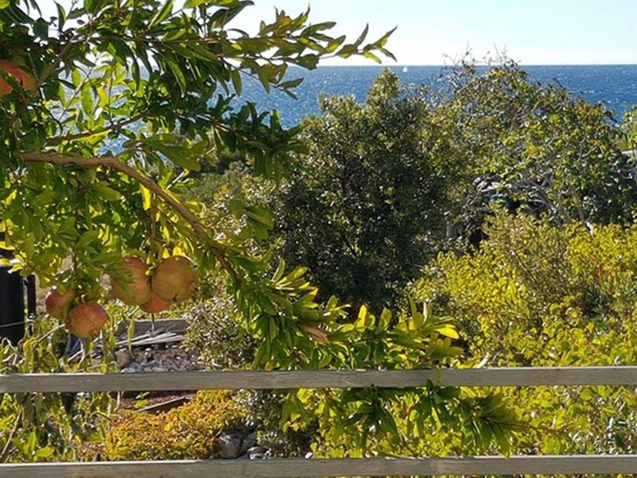 Modern Apartment In Primo Ten Burnji With Private Terrace Dolac Εξωτερικό φωτογραφία